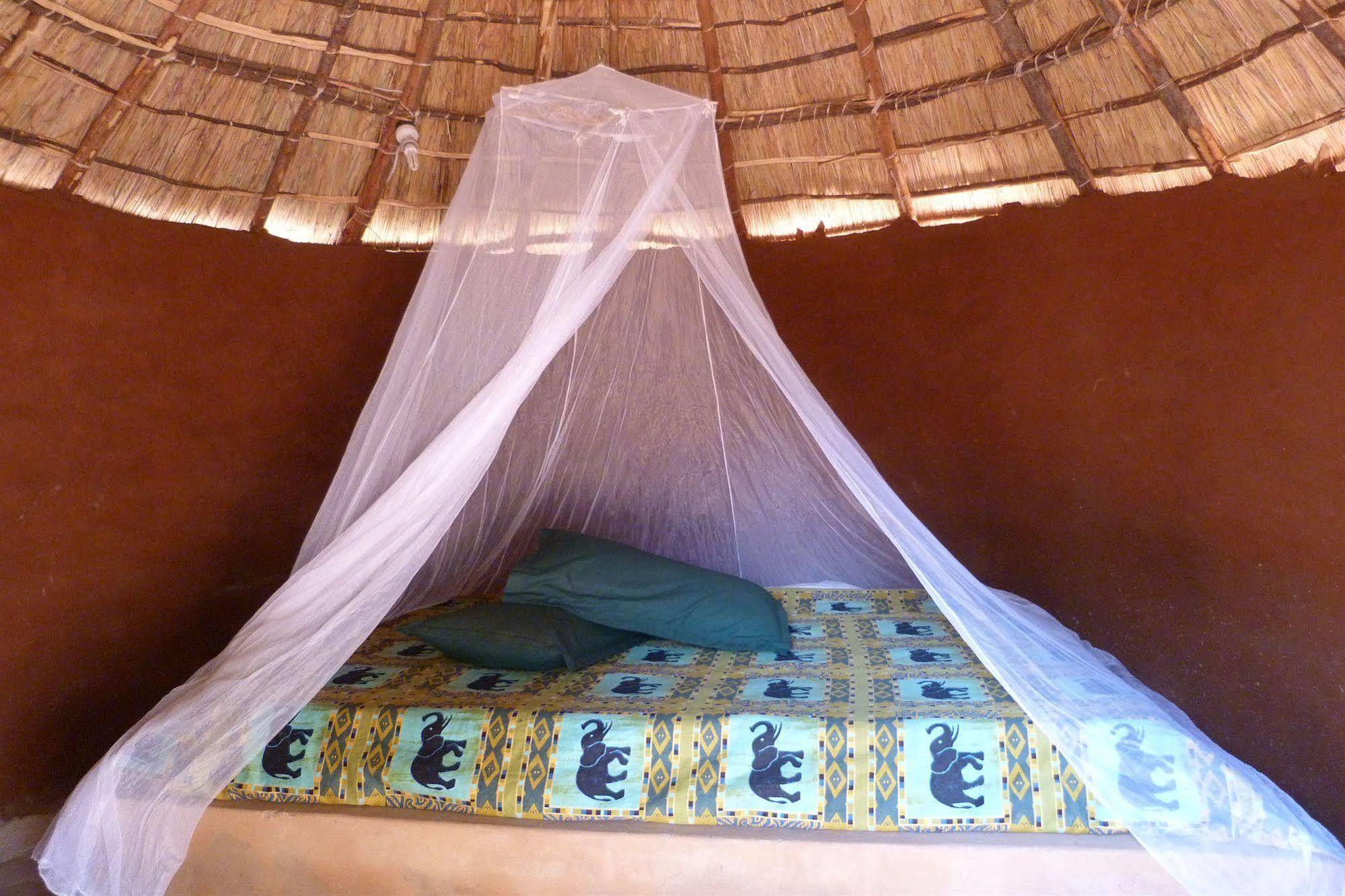 Zinga Backpackers Hotel Livingstone Buitenkant foto