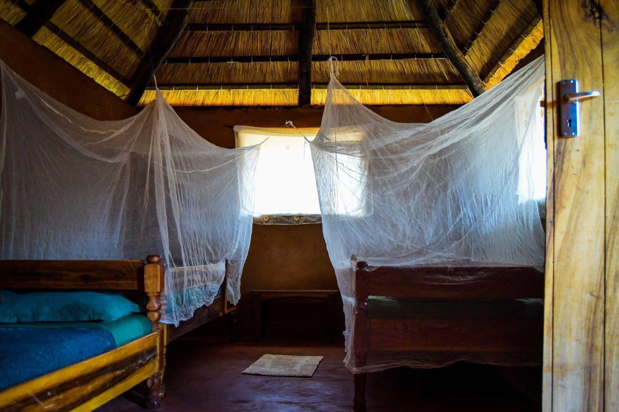 Zinga Backpackers Hotel Livingstone Buitenkant foto